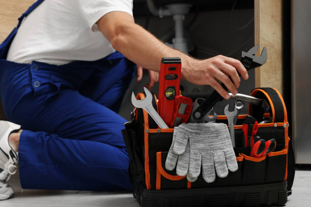 Best Plumbing Services Near Me  in St Clair, MI